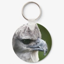 Harpy Eagle keychains by ForestPhoto Harpy Eagle keychains