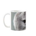 Harpy Eagle mugs by ForestPhoto Harpy Eagle mugs