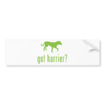 Harrier bumper stickers by Pawdboy Harrier bumper stickers