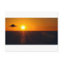 "HARRIER SUNRISE" POST CARD