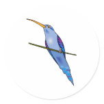 Harriot Hummingbird Sticker