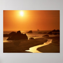 Harris Beach Posters