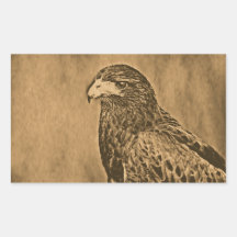 Harris Hawk Bird of Prey Close Up Rectangle Sticker