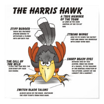 Harris Hawk cartoon Poster posters
