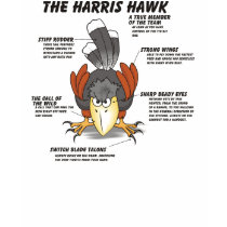 Harris Hawk cartoon T-shirt by artoffalconry Harris Hawk cartoon T-shirt