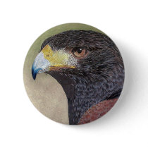 Harris Hawk-cp Button