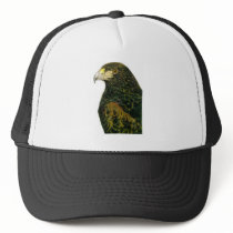 Harris Hawk Hat by Critterpainter Harris Hawk Hat