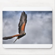 Harris Hawk Mousepads