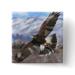 Harris Hawk- pastel Pin