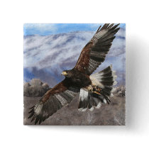 Harris Hawk- pastel Pin