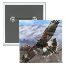 Harris Hawk- pastel Pin