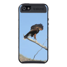 Harris Hawk Phone Case Covers For iPhone 5