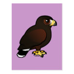 Birdorable Harris Hawk Postcard