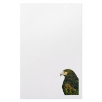 Harris Hawk  Stationery