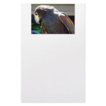 Harris' Hawk Stationery Design