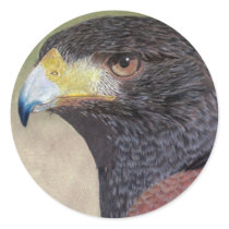 Harris Hawk sticker by artoffalconry Harris Hawk sticker