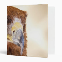 Harris Hawk Watching Vinyl Binders