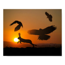Harris Hawks Hunting posters
