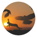 Harris Hawks stickers