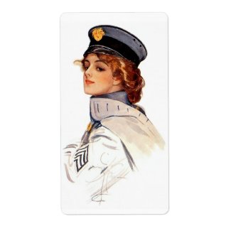 Harrison Fisher: Maid at Arms