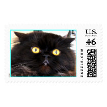 HARRR copy postage
