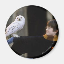 Harry and Hedwig 3 Magnets