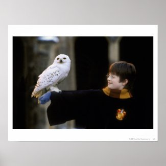 Harry and Hedwig 3 Poster