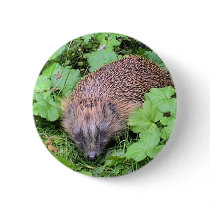 Harry Hedgehog buttons by Jeeee11 Harry Hedgehog buttons