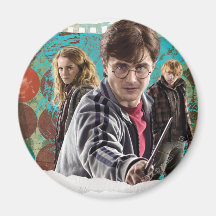 Harry, Hermione, and Ron 1 Fridge Magnet