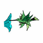 Harry Hummingbird Photo Cutouts