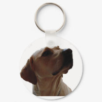 harry keychains by jcrpaok harry keychains