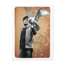 Harry Potter 12 Post Card