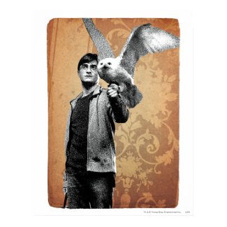 Harry Potter 12 print