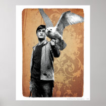 Harry Potter 12 Posters