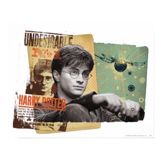 Harry Potter 13 print