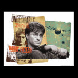 Harry Potter 13 posters