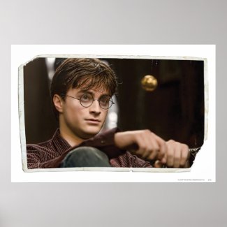 Harry Potter 17 print