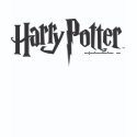 Harry Potter 2 shirt
