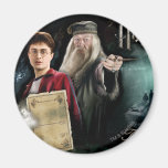 Harry Potter and Dumbledore Magnets