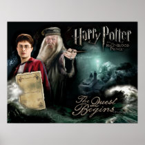 Harry Potter and Dumbledore Posters