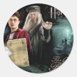 Harry Potter and Dumbledore Sticker