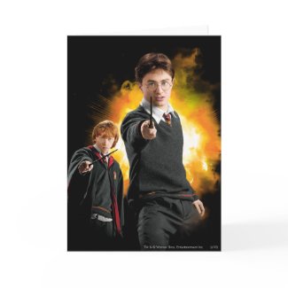 Harry Potter and Ron Weasely card