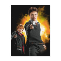 Harry Potter and Ron Weasely Post Card