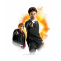 Harry Potter and Ron Weasely shirt