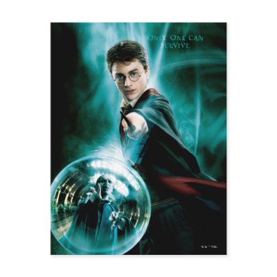 Harry Potter and Voldemort Only One Can Survive postcards