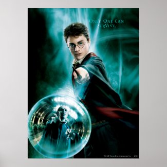 Harry Potter and Voldemort Only One Can Survive print