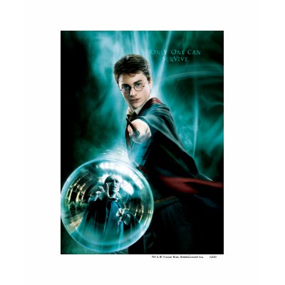 Harry Potter and Voldemort Only One Can Survive shirts