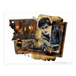 Harry Potter Collage 7 Post Cards