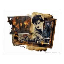Harry Potter Collage 7 Post Cards