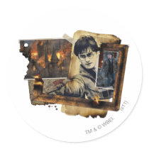 Harry Potter Collage 7 Sticker